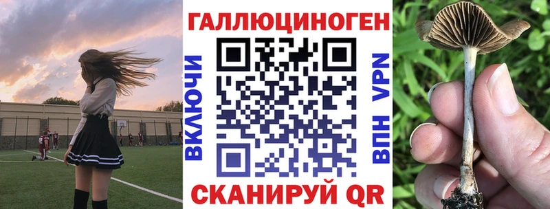 хочу   Кумертау  hydra зеркало  Галлюциногенные грибы Psilocybe 